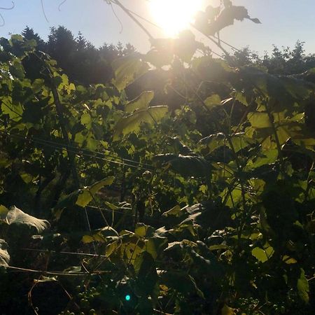 Apartament Winzerhaeuschen Kern Fehring Zewnętrze zdjęcie
